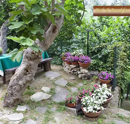Cuore 3* Acquasanta Terme